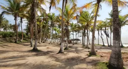 Praia do Farol em Prado: Paraíso Exótico no Sul da Bahia