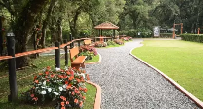 Bosque do Silêncio: Natureza e Aventura em Campos do Jordão